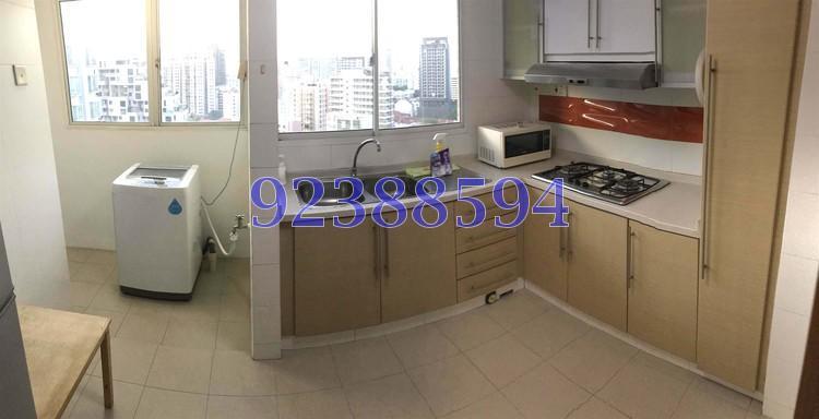 Rocca Balestier (D12), Apartment #158412252